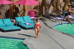 The Beach Club Pool complex located at the Flamingo Las Vegas