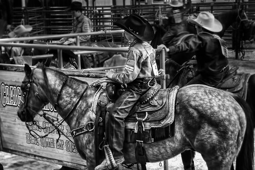 Young Rodeo Rider Las Vegas