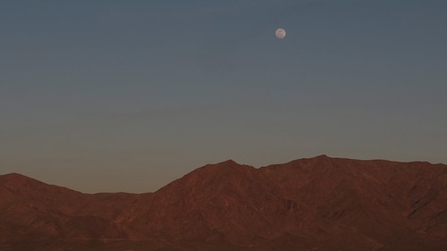 Desert Moonlight