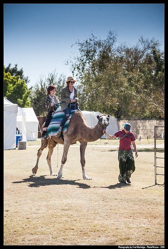 Renaissance-Festival-LVRENFAIR-Las-Vegas-2019-by-Fred-Morledge-PhotoFM-094