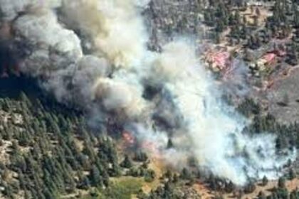 BLM Nevada Takes Bold Action to Prevent Human-Caused Wildfires