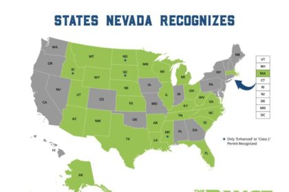 New Nevada Bill Targets Gun Access During Mental Health Crises