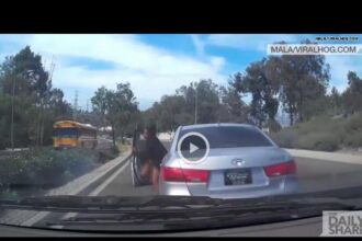 Woman Leaps from Moving Car on Las Vegas Freeway as Driver Brandishes Meat Cleaver