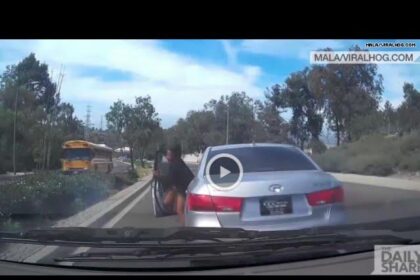 Woman Leaps from Moving Car on Las Vegas Freeway as Driver Brandishes Meat Cleaver