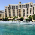 Tragic Death of Las Vegas Beekeeper Sparks Urgent Call for Enhanced Safety Measures