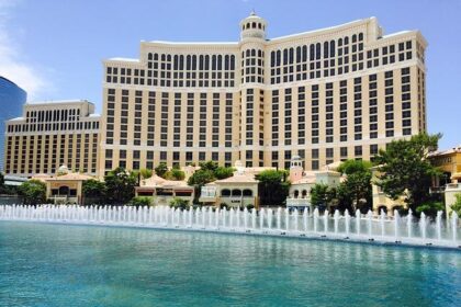 Tragic Death of Las Vegas Beekeeper Sparks Urgent Call for Enhanced Safety Measures