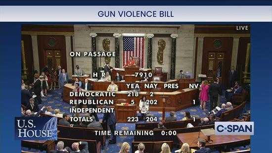 Democrats’ gun bills advance, but face likely veto by Lombardo
