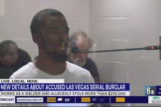 Las Vegas Serial Burglar May Avoid Jail Time with New Plea Deal
