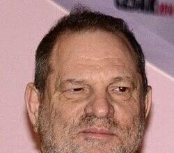 Harvey Weinstein Contemplates Testifying in High-Stakes Sex Crimes Retrial
