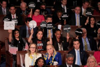 Frustrated Democrats Fight Back Against Trump’s Onslaught with a Flood of Their Own