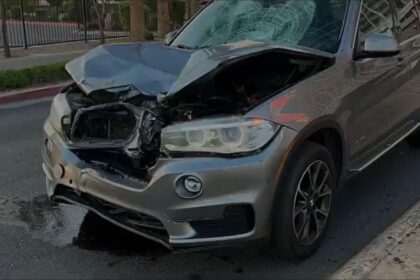 Documents detail hit-and-run crash that killed Las Vegas man