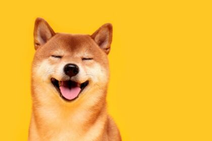Supreme Court Delivers Major Victories for DOGE in Social Security and Records Cases