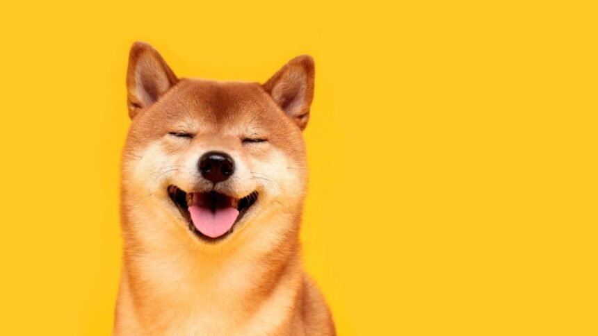 Supreme Court Delivers Major Victories for DOGE in Social Security and Records Cases