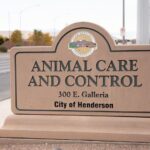 Henderson Launches Free Vaccination Clinic for Dogs and Cats