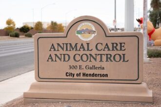 Henderson Launches Free Vaccination Clinic for Dogs and Cats