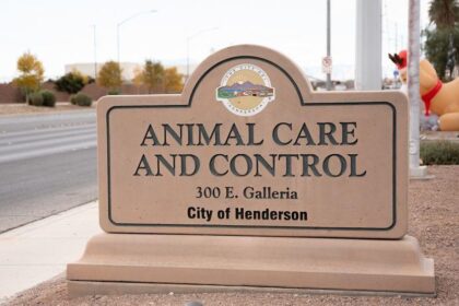 Henderson Launches Free Vaccination Clinic for Dogs and Cats