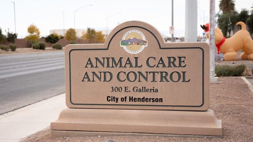 Henderson Launches Free Vaccination Clinic for Dogs and Cats
