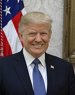 Republicans Rally Around Trump After Strike on Iran, Leaving Few Opponents