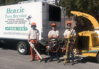Crews Race to Clear Trees Uprooted by Strong Winds Across Las Vegas Valley