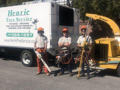 Crews Race to Clear Trees Uprooted by Strong Winds Across Las Vegas Valley