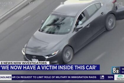 Dramatic Videos Capture Las Vegas Carjacking Spree and Intense Police Chase Following Casino Murder