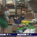Hearts Alive Village Temporarily Closes Pet Food Pantry Following AC Fire and Bug Infestation