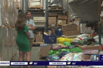 Hearts Alive Village Temporarily Closes Pet Food Pantry Following AC Fire and Bug Infestation