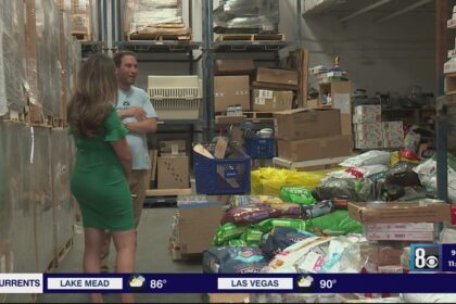 Hearts Alive Village Temporarily Closes Pet Food Pantry Following AC Fire and Bug Infestation