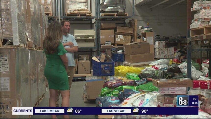 Hearts Alive Village Temporarily Closes Pet Food Pantry Following AC Fire and Bug Infestation