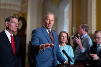 Congress approves public media and foreign aid cuts: What to know