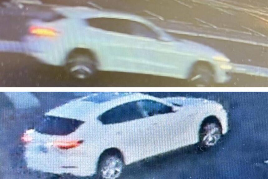 Las Vegas Woman Faces Charges in Trio of Hit-and-Run Incidents