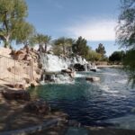 Neighbors Express Shock and Grief After Man Found Dead in North Las Vegas Park