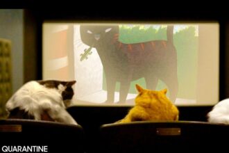 Now Showing in Theaters: 73 Minutes of Adorable Cat Videos for a Great Cause