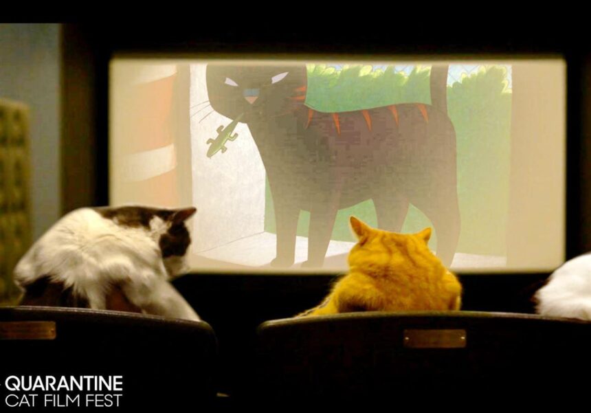 Now Showing in Theaters: 73 Minutes of Adorable Cat Videos for a Great Cause