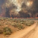 Lightning strikes cause wildfires across Elko County; Snowstorm Fire state’s second-largest