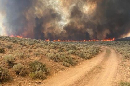 Lightning strikes cause wildfires across Elko County; Snowstorm Fire state’s second-largest