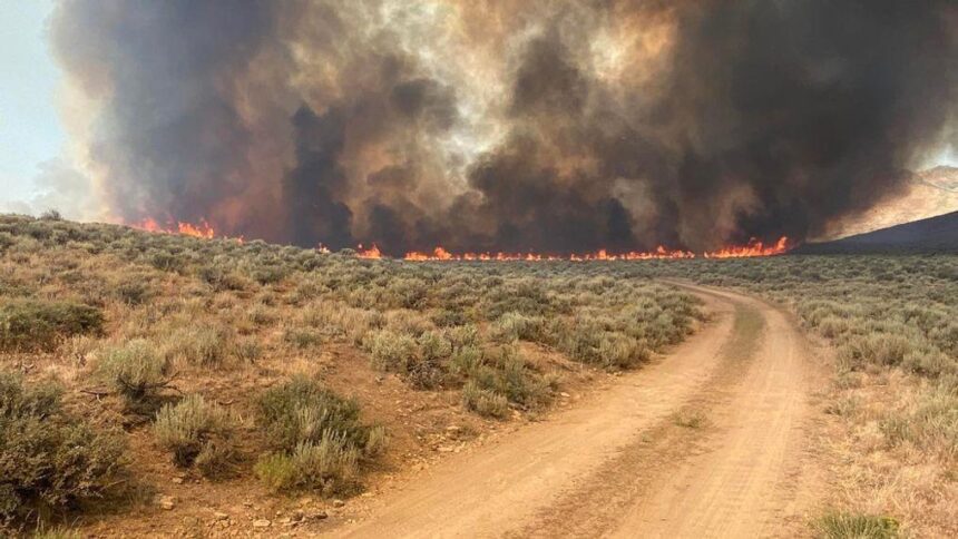 Lightning strikes cause wildfires across Elko County; Snowstorm Fire state’s second-largest