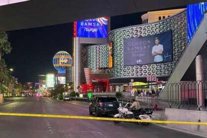 YouTuber Pleads Not Guilty in Shocking Las Vegas Live-Streamed Murder Case