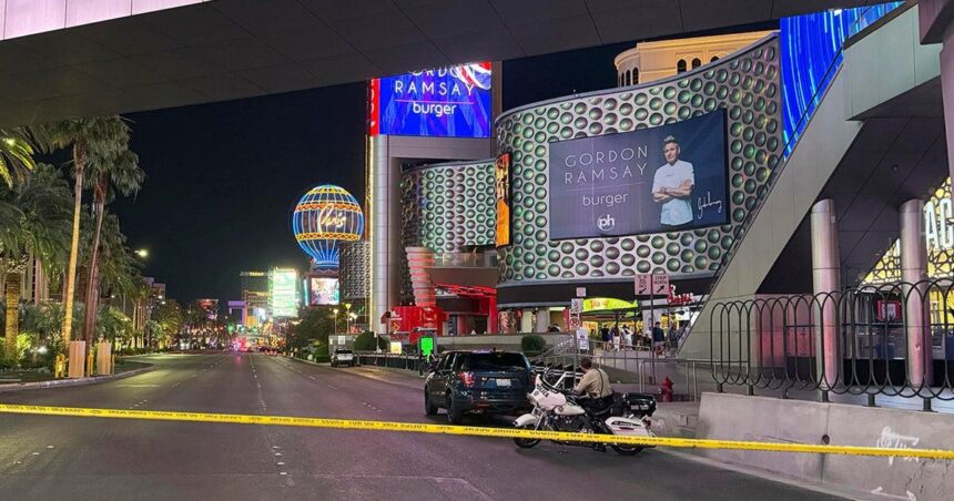 YouTuber Pleads Not Guilty in Shocking Las Vegas Live-Streamed Murder Case