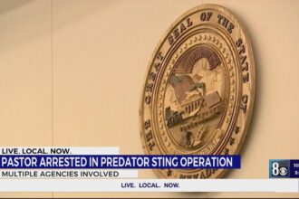 Eight Arrested in Major Las Vegas Valley Sex Predator Sting Operation