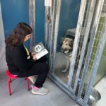 Las Vegas Animal Nonprofit Launches Exciting Event to Raise 5K