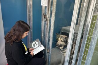 Las Vegas Animal Nonprofit Launches Exciting Event to Raise 5K
