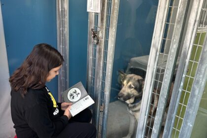 Las Vegas Animal Nonprofit Launches Exciting Event to Raise 5K