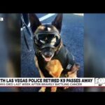 Las Vegas police mourn death of retired K9 officer