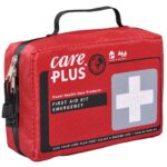 Essential Items You Need in Your Holiday Travel Emergency Kit
