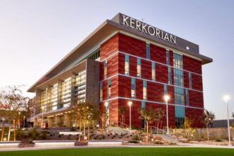 UNLV Medical School Uncovers Alarming Trends in Car Crashes