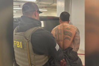 Salvadoran national with criminal past sentenced to 15 months in prison