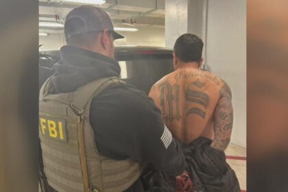 Salvadoran national with criminal past sentenced to 15 months in prison
