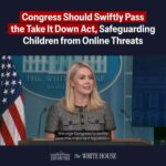 White House Threats Against Liberal Groups Challenge Free Speech Rights