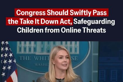 White House Threats Against Liberal Groups Challenge Free Speech Rights